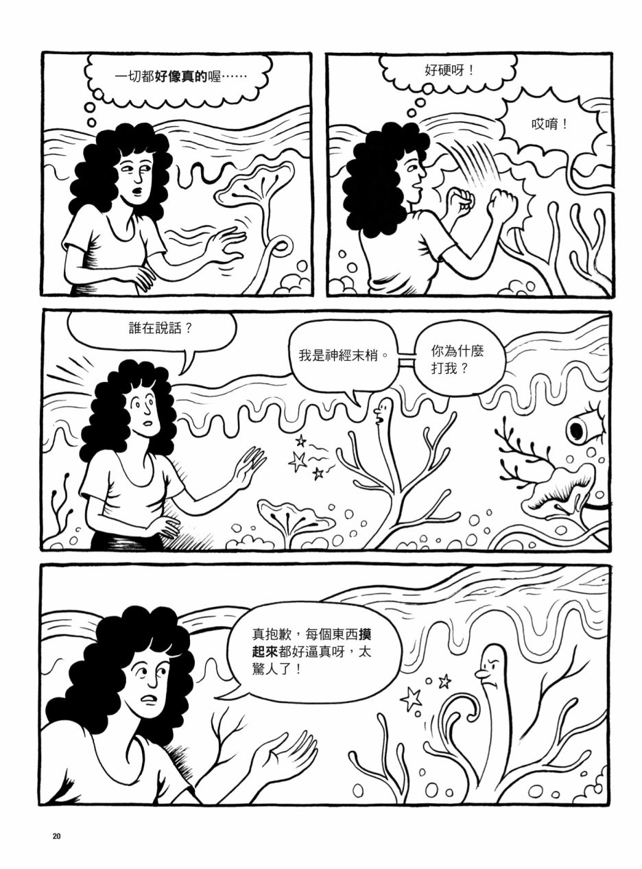 第20页