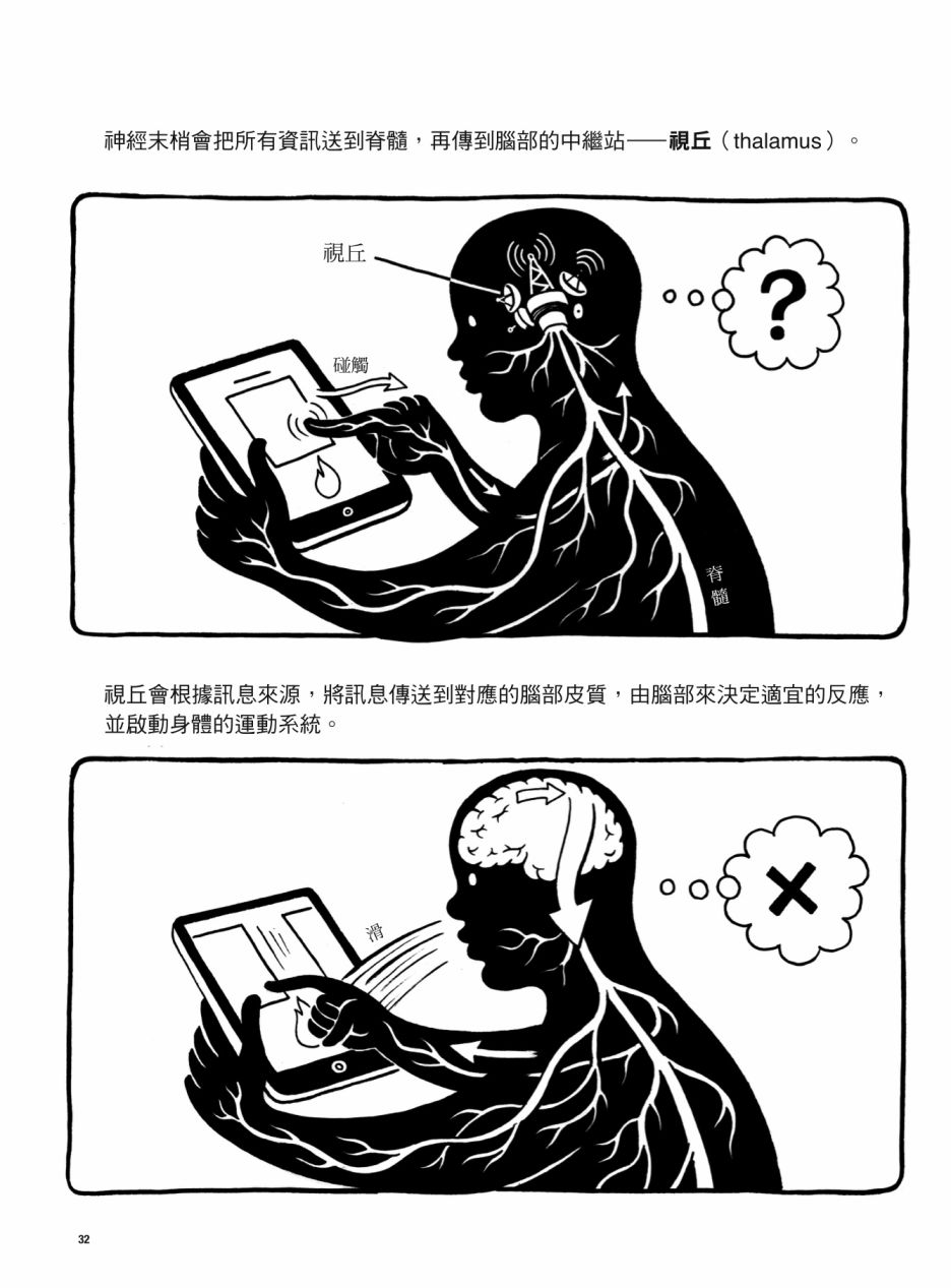 第32页