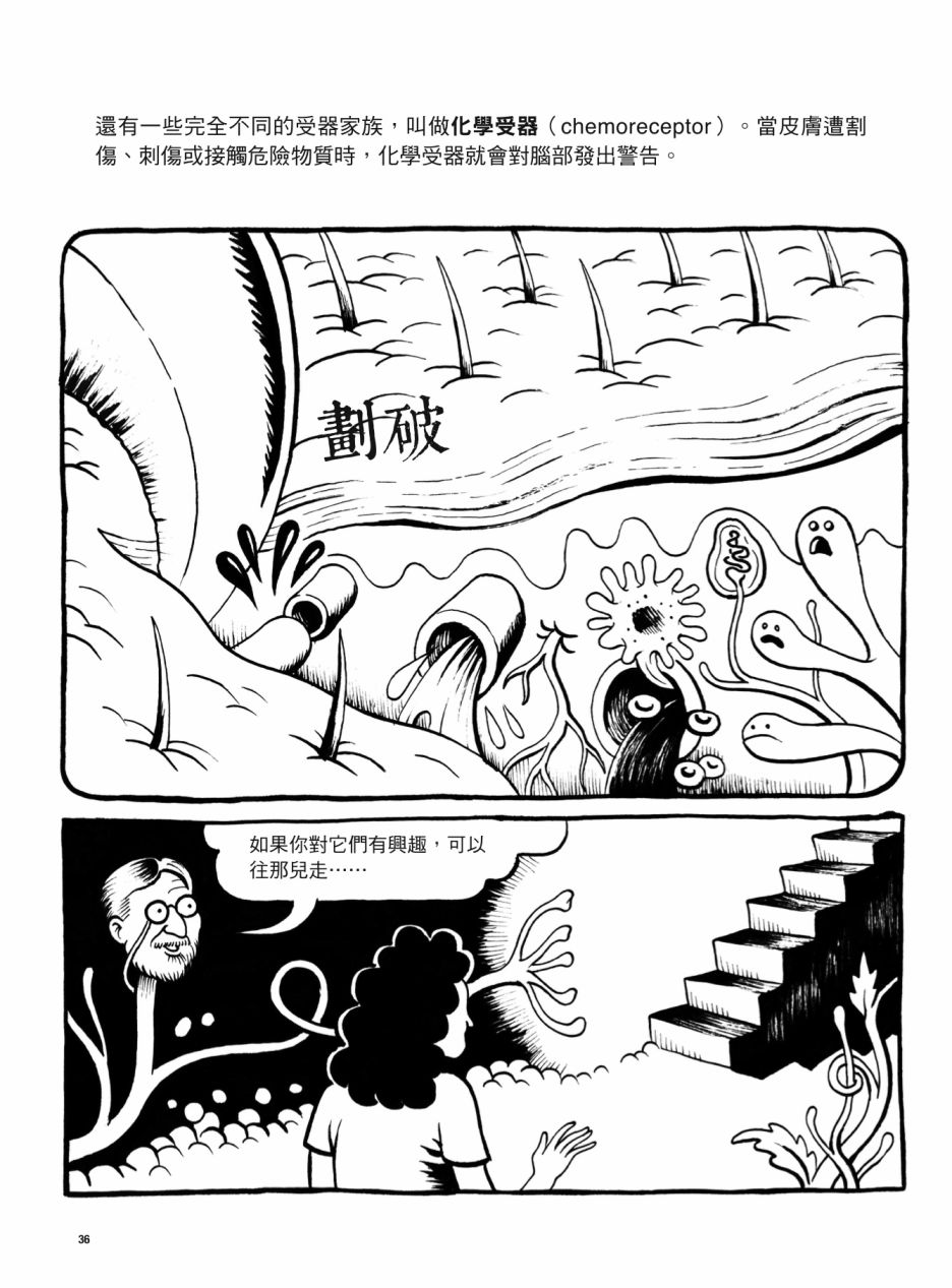 第36页