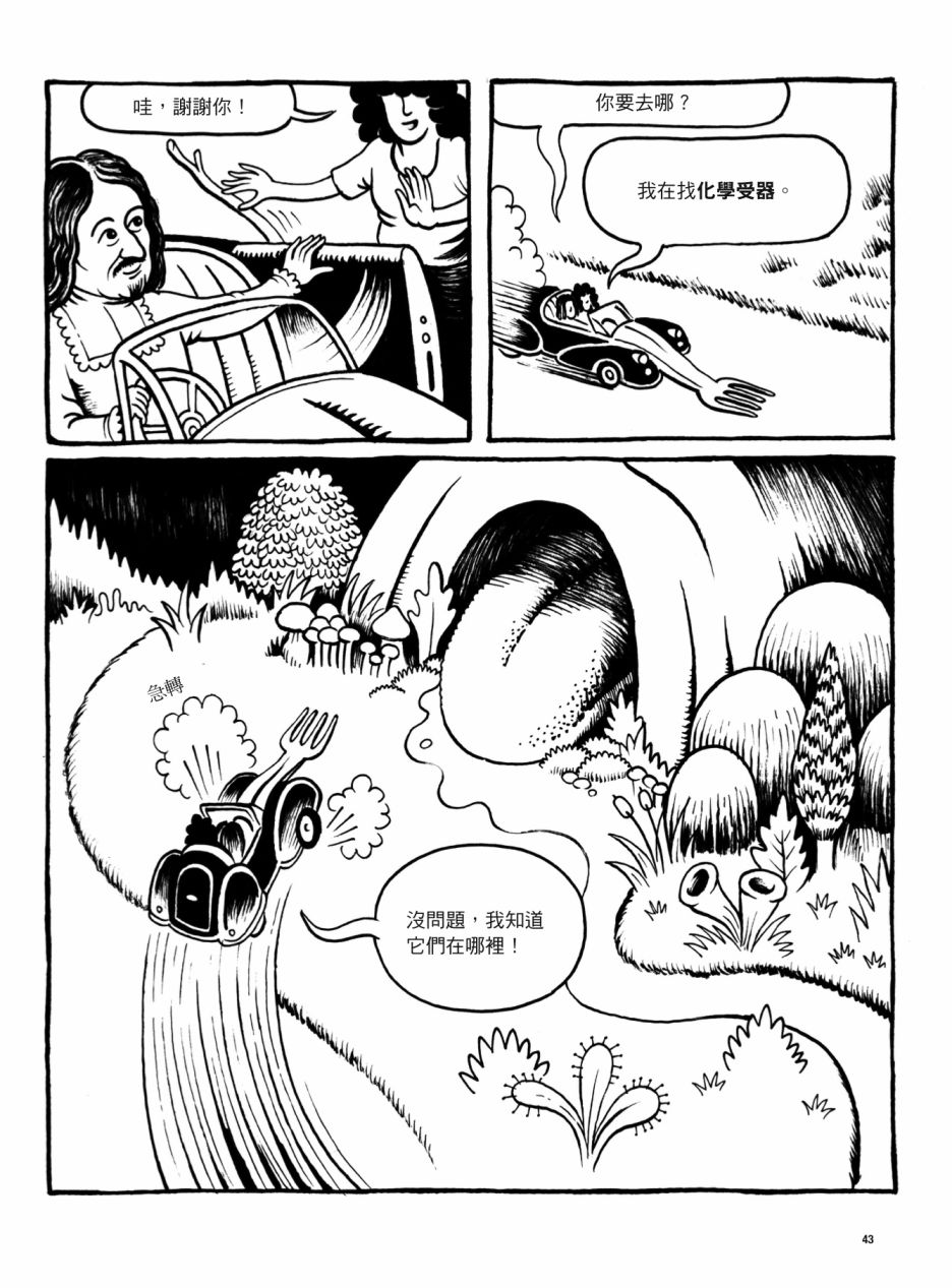第43页