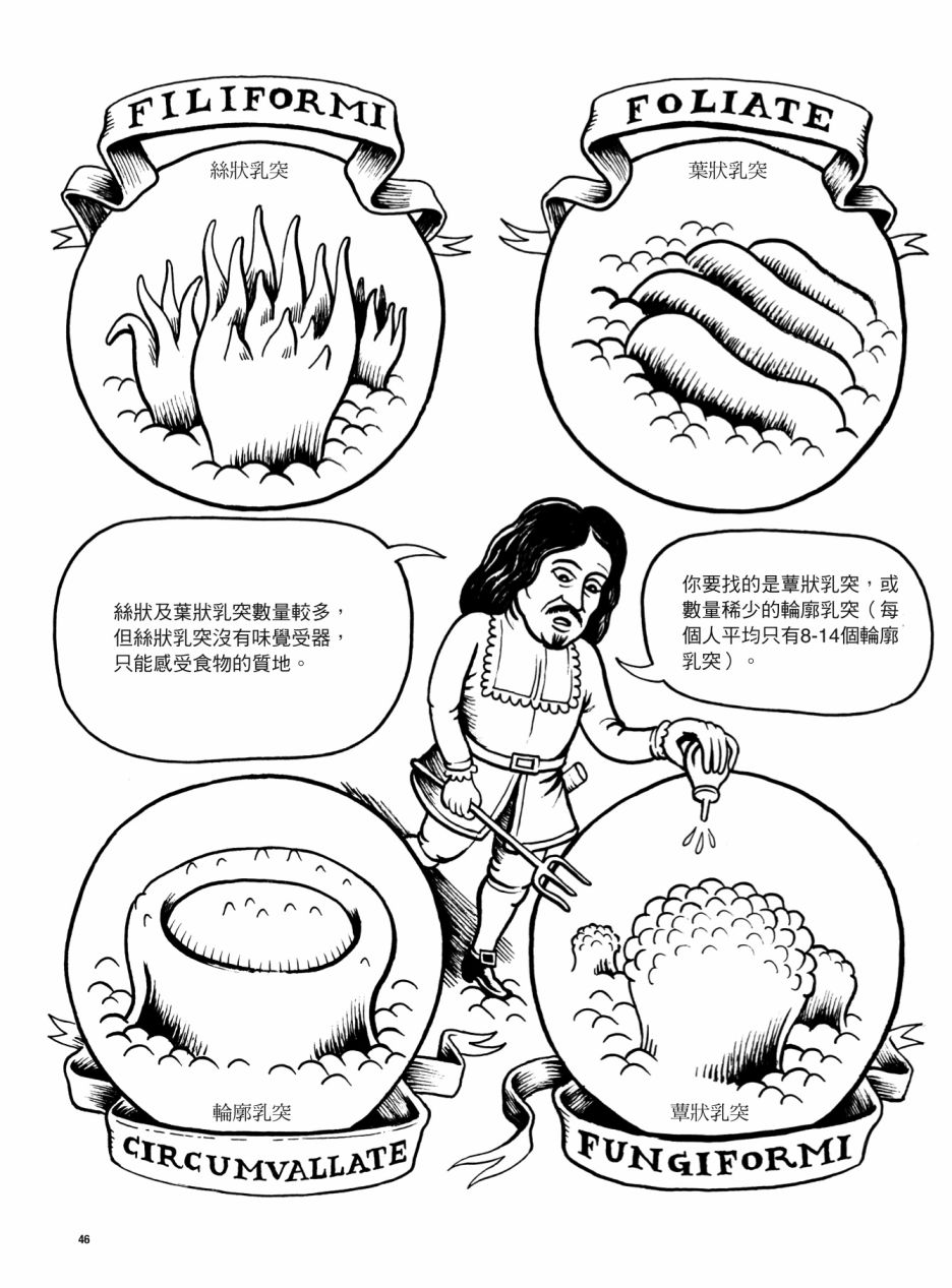 第46页