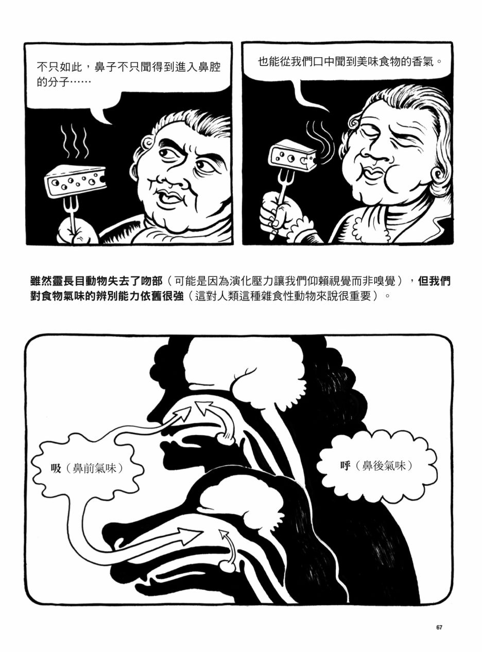 第67页