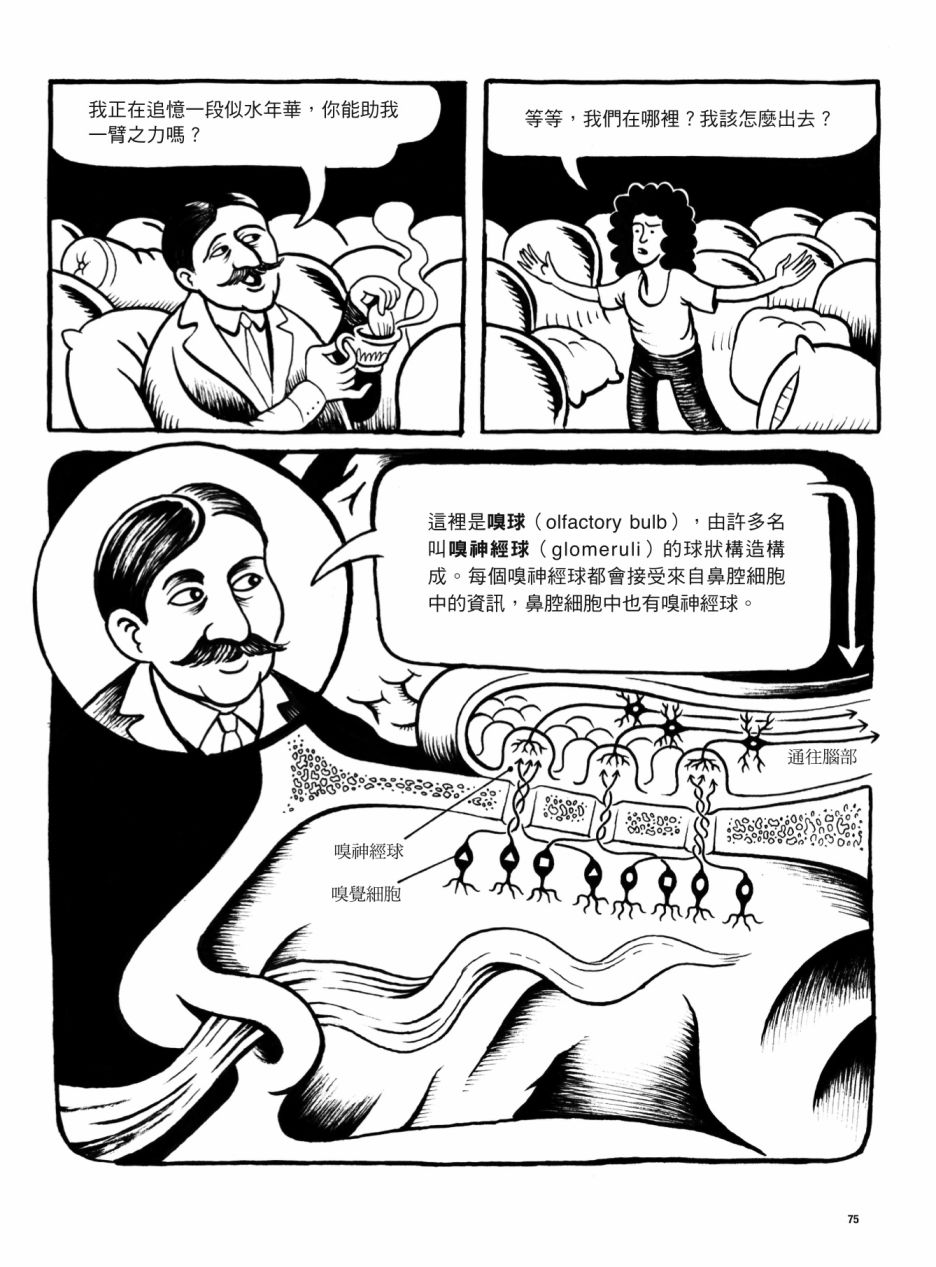 第75页