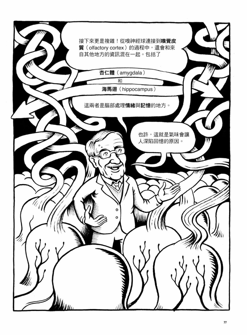 第77页