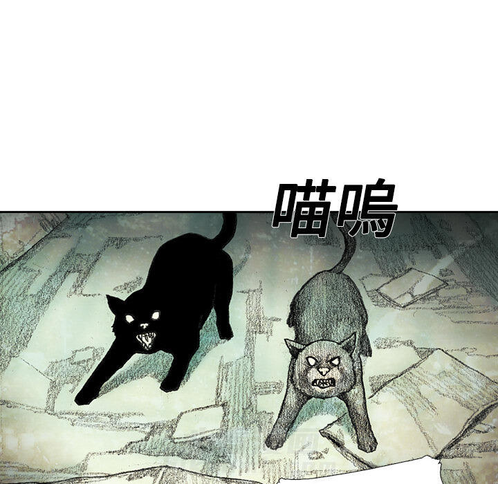 第178页