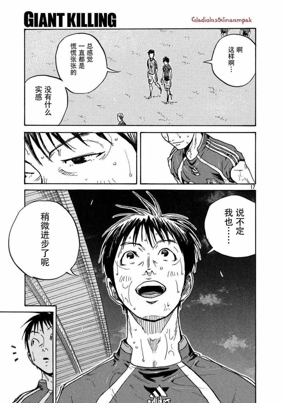 第17页